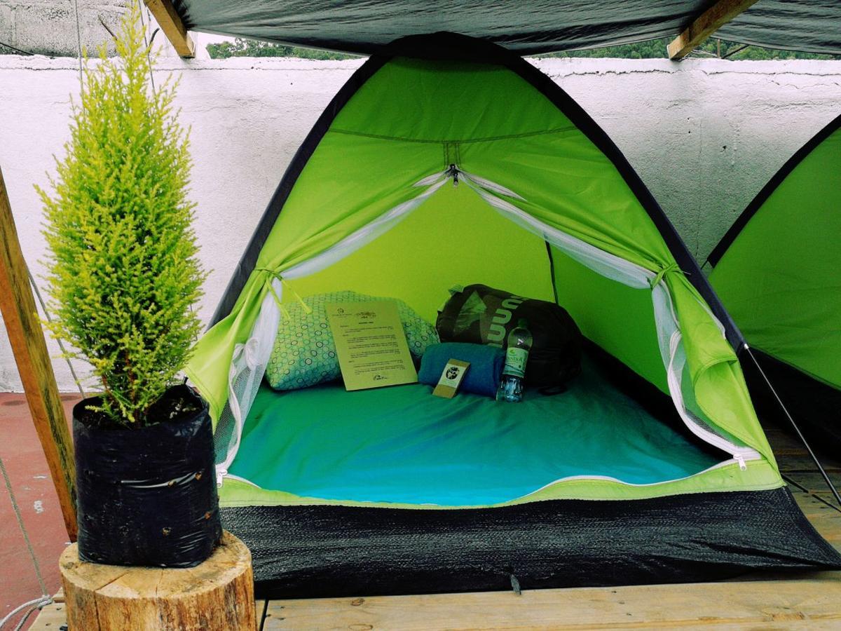Camping & Travel Antigua Kültér fotó