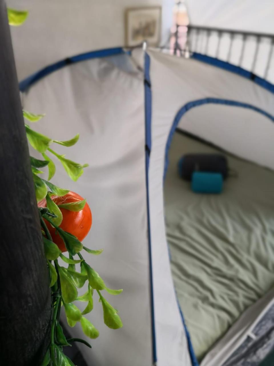 Camping & Travel Antigua Kültér fotó