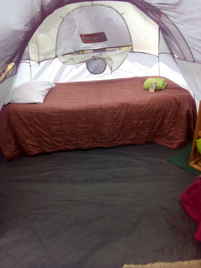 Camping & Travel Antigua Kültér fotó